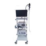 CMD 60A Pet Veterinary Medical Equipment Endoscope Video Gastroscope For Pets
