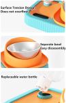 Stainless Steel Pet Slow Feeder Tilted Cat Dog Bowls Set