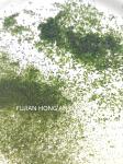 Green Aonori Powder Dried Green Seaweed For Sushi Preparation