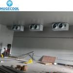 Assembled Cold Storage Chiller/Cooler/Freezer Room with Condensing Unit