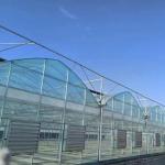 Multi-Span Film Greenhouse for Cultivation 20.000kg Package Gross Weight Easy