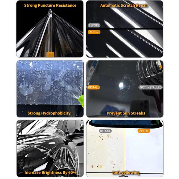 Self Healing TPU PPF OEM Clear Paint Protection Film Body Sticker
