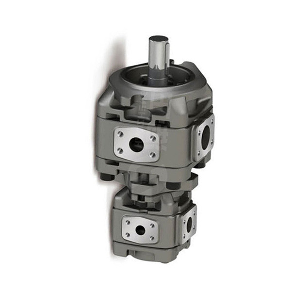 Hydraulic High Pressure Gear Pump Vickers 5001419-001 In Industrial Applicatpumpions