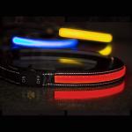 Glow In The Dark LED Flashing Dog Leash Comfort Grip Handle 5 Feet Length