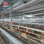 30000 Birds Hot Dip Galvanized Steel H Type Battery Cages For Broiler Chicken