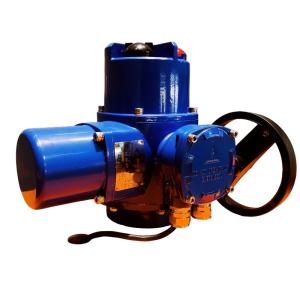 Wholesale QI10 Electric Control Valve Actuator OEM Intelligent Torque Protection from china suppliers