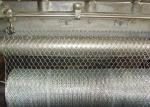 plant protection 25mm BWG24 Hexagon Metal Mesh