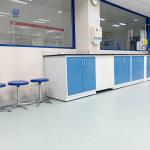 Steel Wooden Wall Mounted Lab Bench With Easy Installation