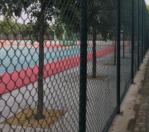 Wholesale High Strength Green Wire Mesh Fence 50*100mm PVC Coated Iron Wire Material from china suppliers