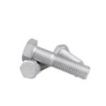 ISO9001 2015 Certified Customized M8 M12 Size SS Hex Bolts and Nuts SS304 316