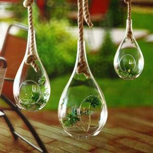 China Tear Drop Craft Glass Flower Planters / Borosilicate Garden Glass Hanging Planters on sale