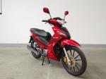 1960×690×1140mm Cub Racing Mortorcycle Business 1310mm Wheel Base