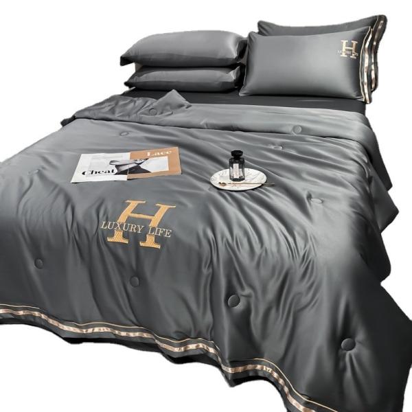 24" Aerospace Special Edition Water Washed Silk Summer Cool Quilt Set of Four
