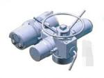 34NM 20mA 18r/min Electric Rotory Actuator 70AI S3.84 MOTF50