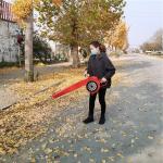 Gasoline Leaf Blower Forest Fire Extinguisher FMBV415 Cordless Portable