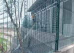 358 wire fence panels /clearvu fencing africa 2200mm*2515mm diameter 4.00mm