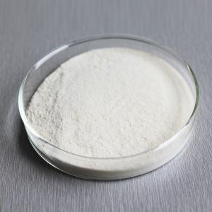 Wholesale 600GDU-2400GDU bromelain papain enzyme Powder like, fully soluble in water,providing enzyme preparation sample from china suppliers