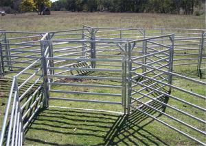 Wholesale Heavy duty galvanized livestock cattle panel used corral panels from china suppliers