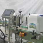 Automatic 4 Heads Liquid Olive Oil Filling Machine for Sunflower Oil Guanhong