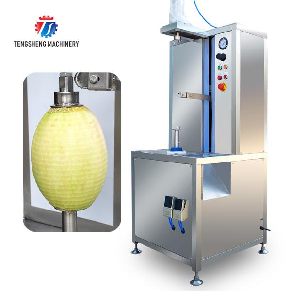1.0KW 120KG Peeler jackfruit papaya pumpkin wax gourd peeler all kinds of fruit