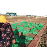 CE/ISO9001/ISO14001 Certified Plastic Gravel Stabilizer for Parking Lot and