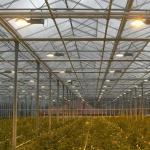 Solar Polycarbonate Sheet Greenhouse / Agricultural PC Sheet Greenhouse