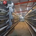 Battery Cages For Laying Hens In The Poultry Farm House Constructed With Hot-dip