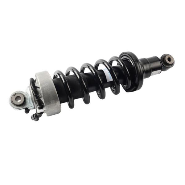 Rear Hydraulic Air Suspension Shock Absorber Spring For Audi R8 420512019AL Auto