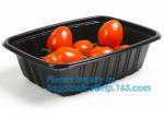 OEM and ODM custom plastic 2100ml pp 4 compartment plastic food box,disposable