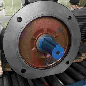 Wholesale Three Phase High Voltage Induction Electric Motor Low Vibration from china suppliers