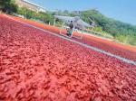 400m Permeable Rubber Track Outdoor Running Race For Sports Field