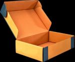 Shoe paper box