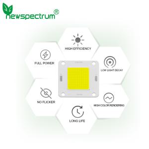 Wholesale DC 20w Led Light Beads High Brightness Cold White Solar Light Source from china suppliers