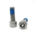 ISO9001 2015 Certified Metric Stainless Steel Nylon Coated Hex Socket Cap Screw