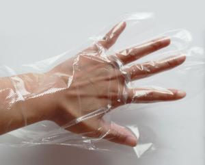 Wholesale Multipurpose Disposable Clear Transparent Powder Free Kitchen Food Grade Plastic PE Gloves from china suppliers