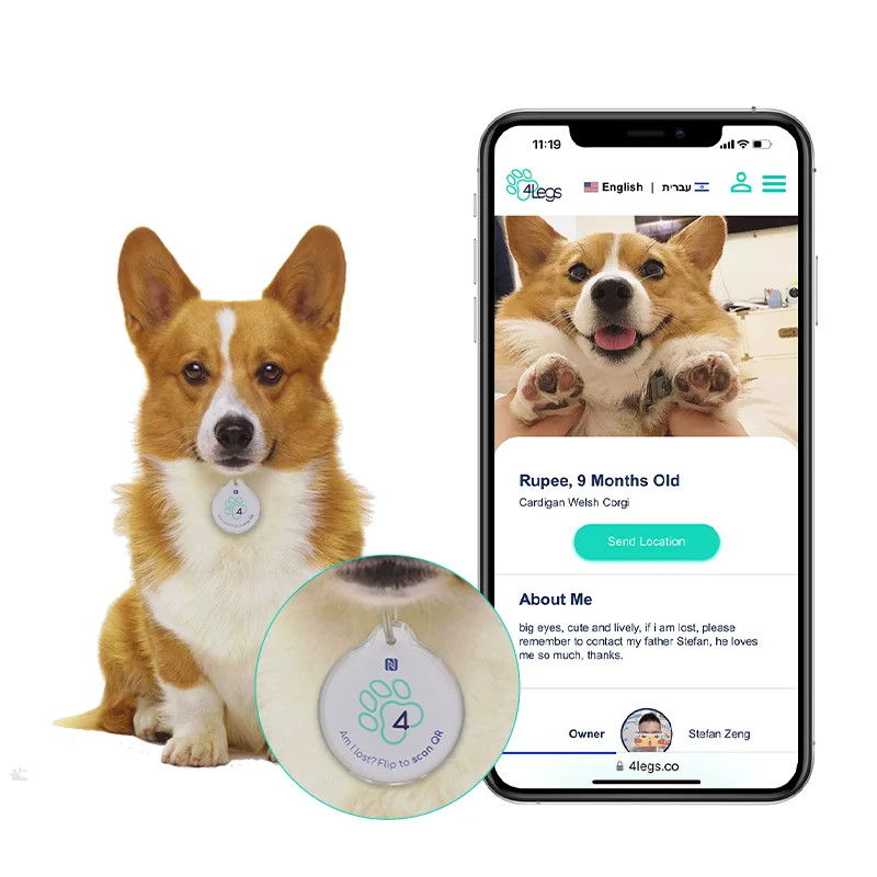 Personalized Editable Tag Upgraded Custom NFC Blank Pet Tracking Epoxy NFC Tags