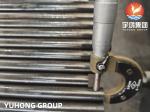 ASTM A213 / ASME SA213 T1 T11 T12 Alloy Steel Seamless tube for Boiler ,
