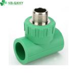 PPR Male Coupling/Male Tee Pipe Fittings with Welding Connection and Round Head