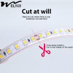 IP68 Weatherproof Dimmable 12V/24V LED Light Strip with 50000 Working Lifetime