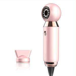Wholesale OEM 240V 50Hz Portable Hair Blow Dryer With Diffuser from china suppliers