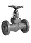 Fully Guided Solid Disc Forged Steel Valve Full And Reduced Bore Port Globe