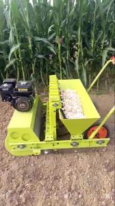 Wholesale 2017 Hot Garlic Seeder/Garlic Planter Machine from china suppliers