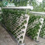Boost Potato Harvest Large Plastic Pipes Multi-Span Agricultural Greenhouses