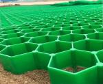 HDPE Plastic Porous Grass Grid Pavings Paver Grid For Parking Lot Floor