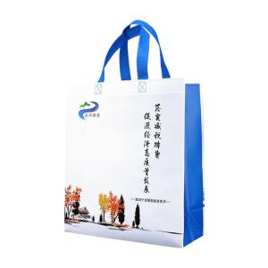 Wholesale Shopping PP Biodegradable Non Woven Bag Shrink Resistant from china suppliers