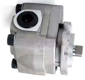 Wholesale E312C Excavator SBS80 Hydraulic Gear Pump 315 E315 Pilot Pump Parts 1731168 173-1203 1731203 from china suppliers