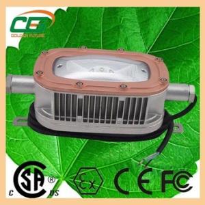 Wholesale Portable 120° High Lumen LED Explosion Proof Light 30 W WF2 , DC 36V from china suppliers