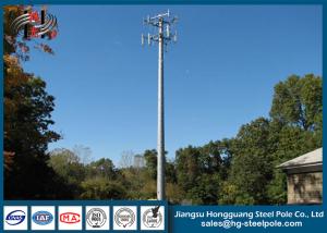 Wholesale Steel Conical Self Supporting Telecommunication Towers With Climbing Ladders from china suppliers