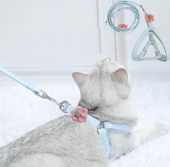 cat leash for kittens