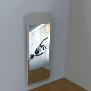 Wholesale 43'' TFT Exercise Smart Fitness Mirror USB HID Interactive Workout Mirror from china suppliers
